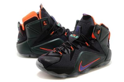 Cheap LeBrone James XII basketball shoes wholesale No. 497