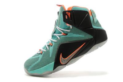 Cheap LeBrone James XII basketball shoes wholesale No. 509