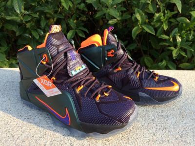 Cheap LeBrone James XII basketball shoes wholesale No. 568