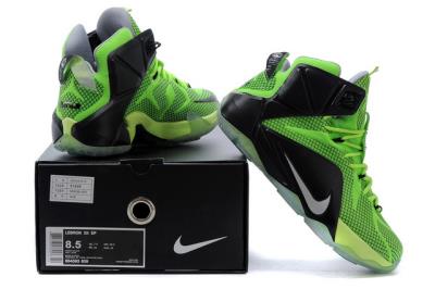 Cheap LeBrone James XII basketball shoes wholesale No. 579