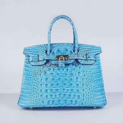 Hermes Handbag-y6088qlaneytj_593