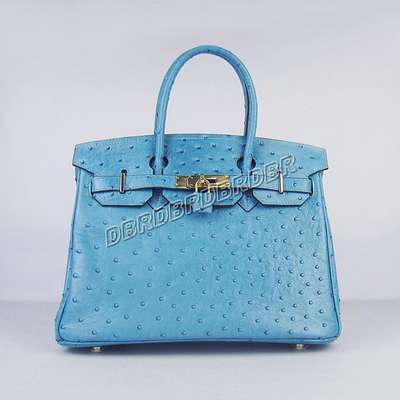 Hermes Handbag-yh6088zlantbj_637